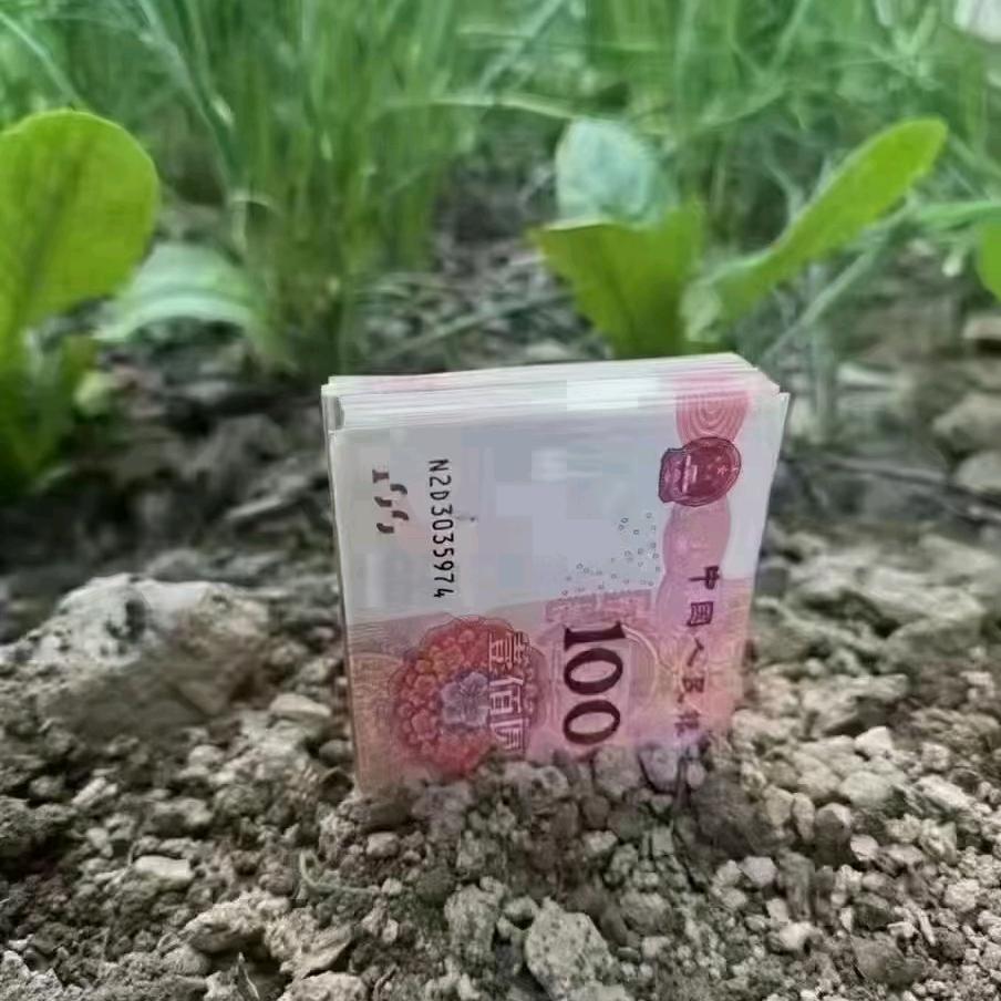 左氏商贸