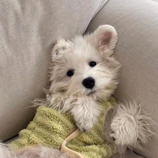 耶耶✌︎( ᐛ )✌︎