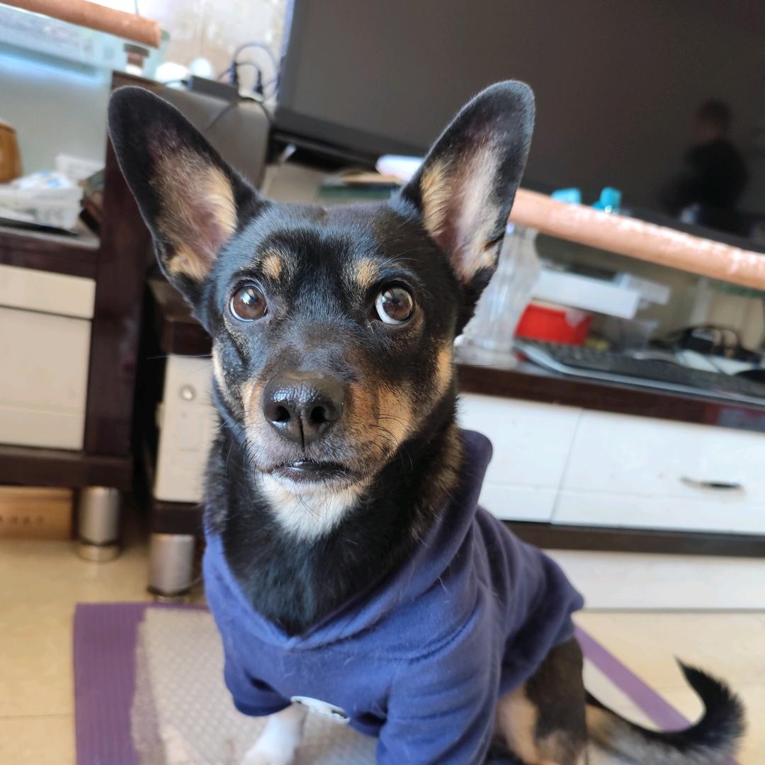 🌈🌈🌈🌈🌈我爱星星