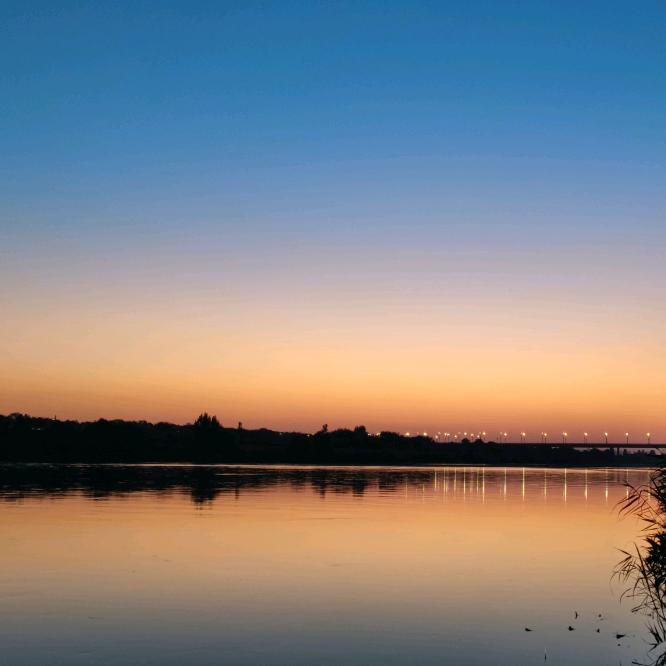 ღ᭄ᝰꫛꫀꪟmonkey猴