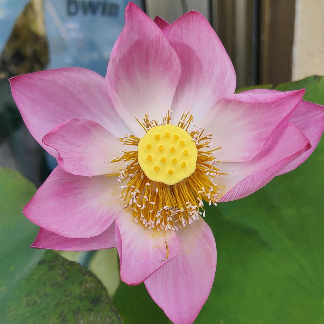 用双手拥抱自己