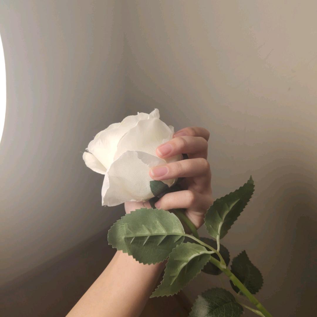 芜湖0805