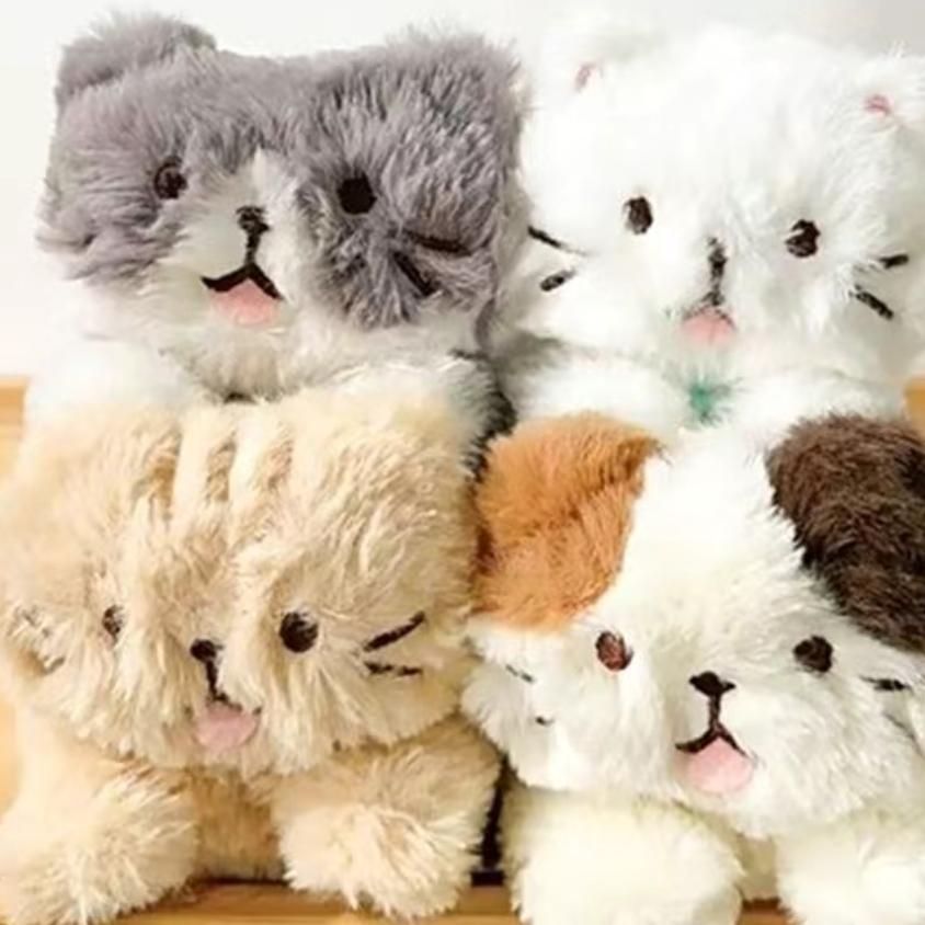 雪南阳关