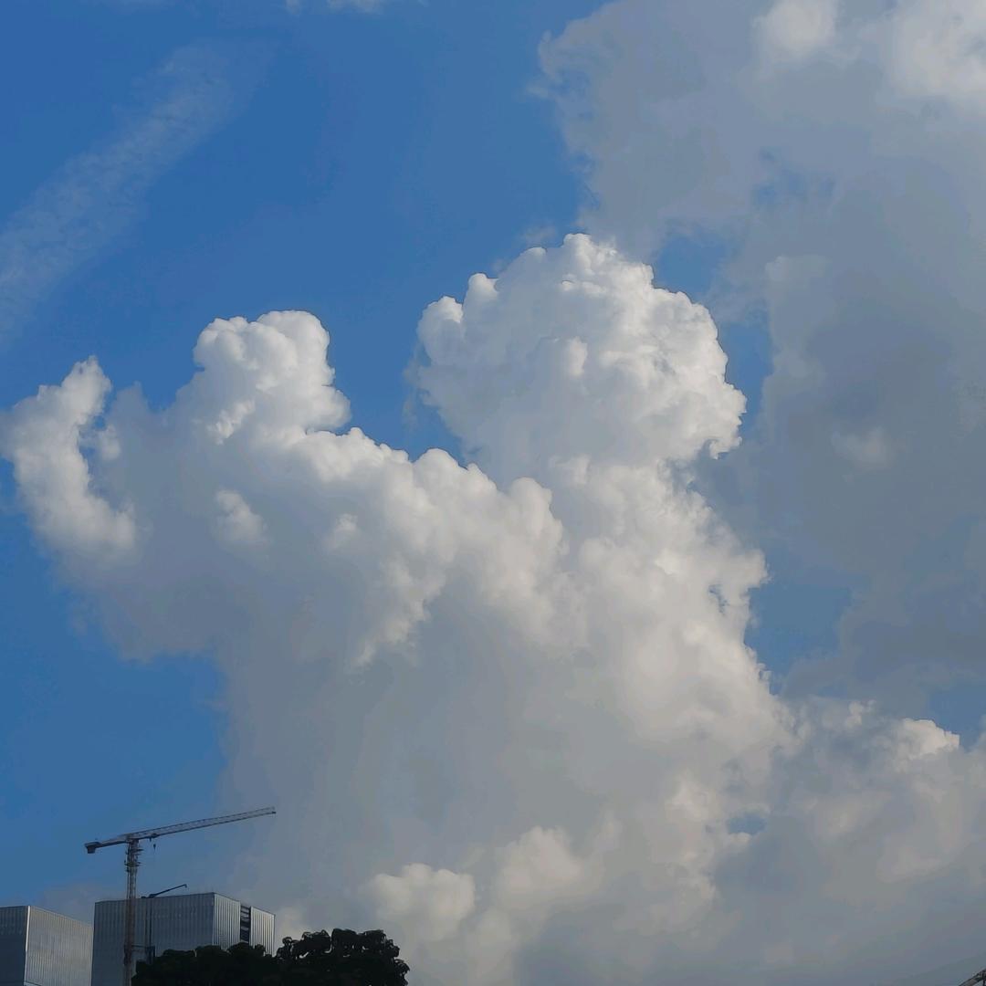 月儿圆✩🌕ིྀ