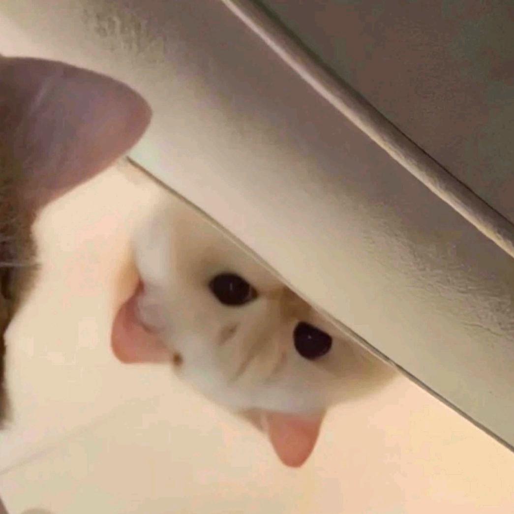 15936