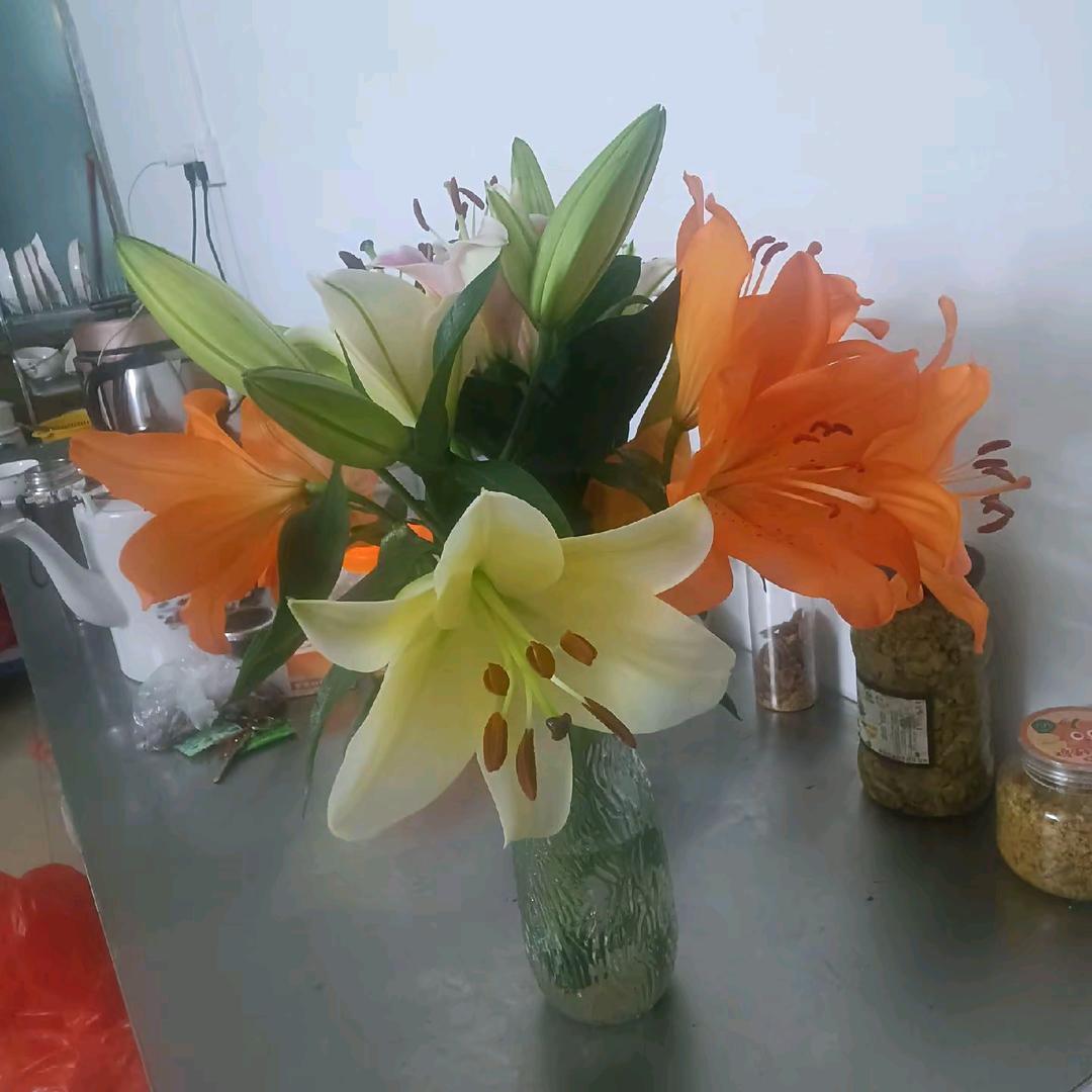 桂K妹