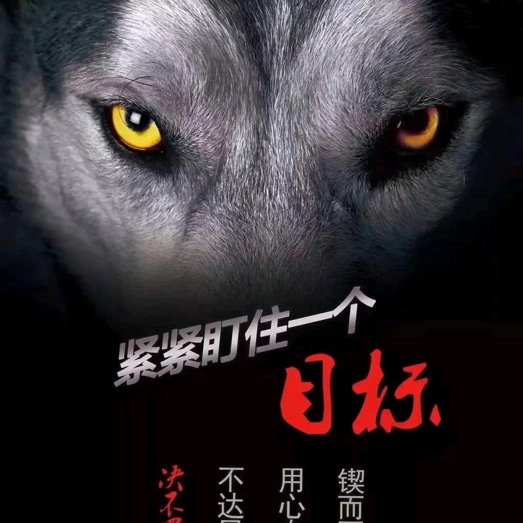 小虎