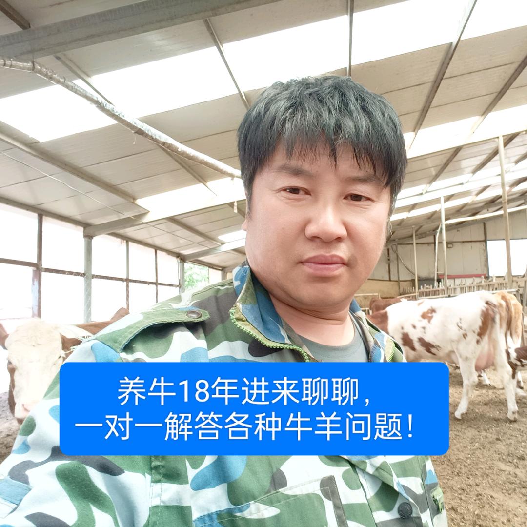 小缪说养牛