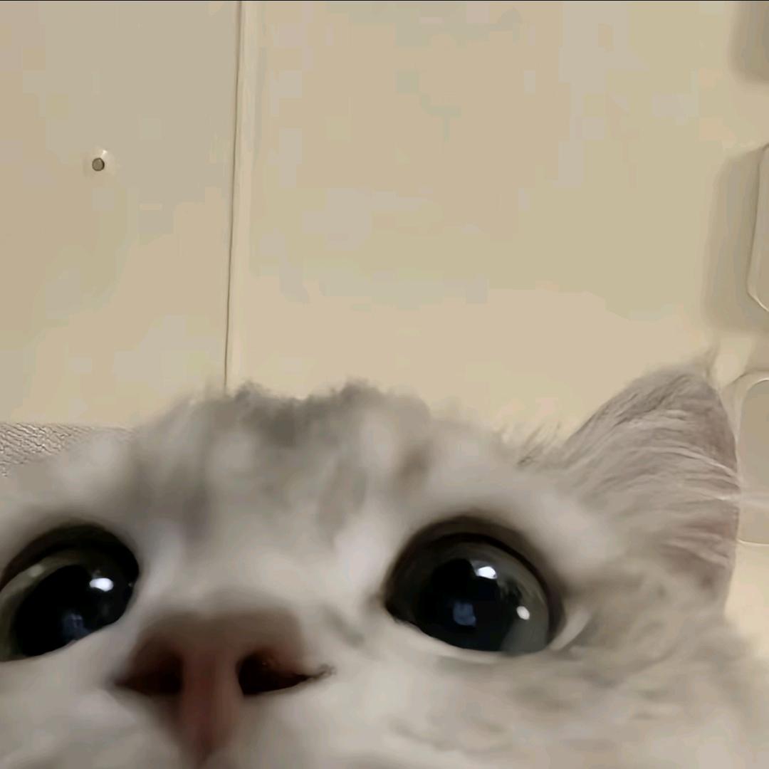 用户1278407025