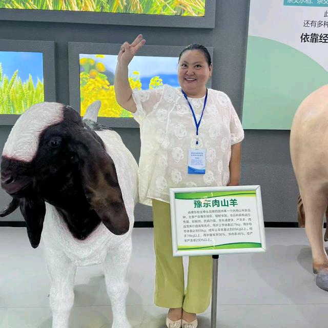 同共进，爱我中华！