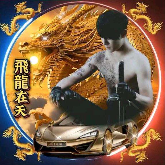 飛龍在天