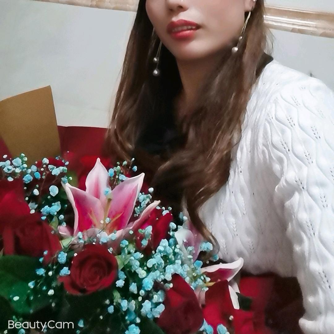 四季樱花
