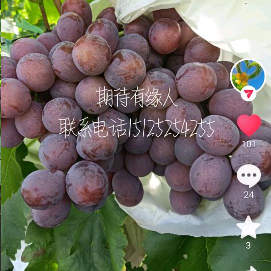 随缘@