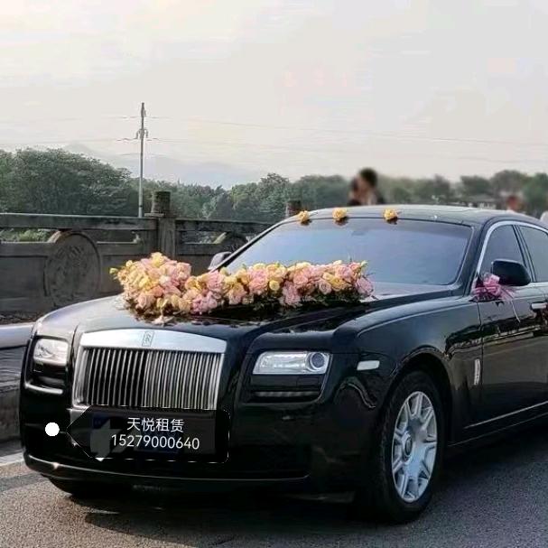 婚车小小杨很努力