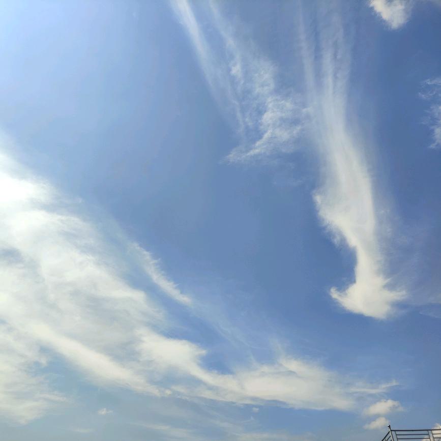 杠上了图文广告