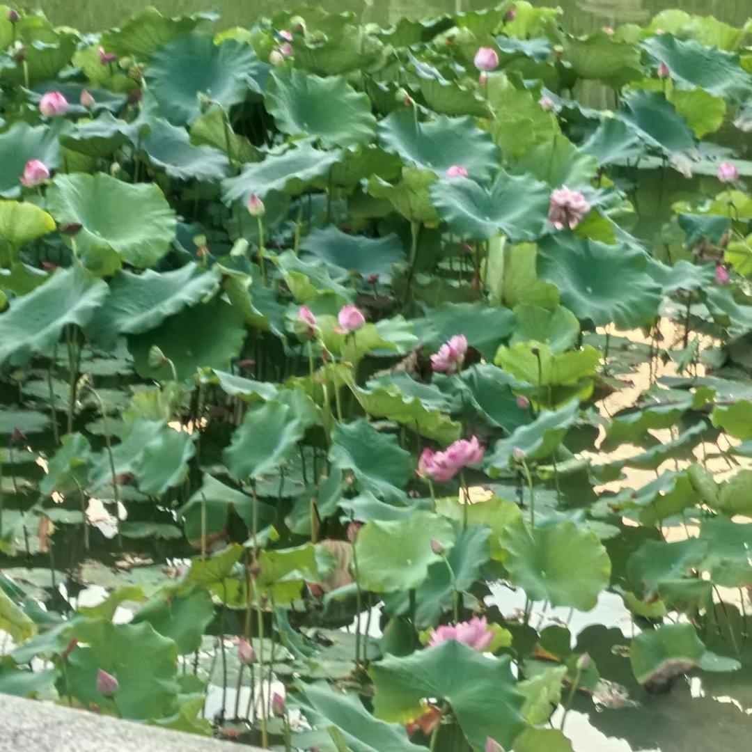 好时光
