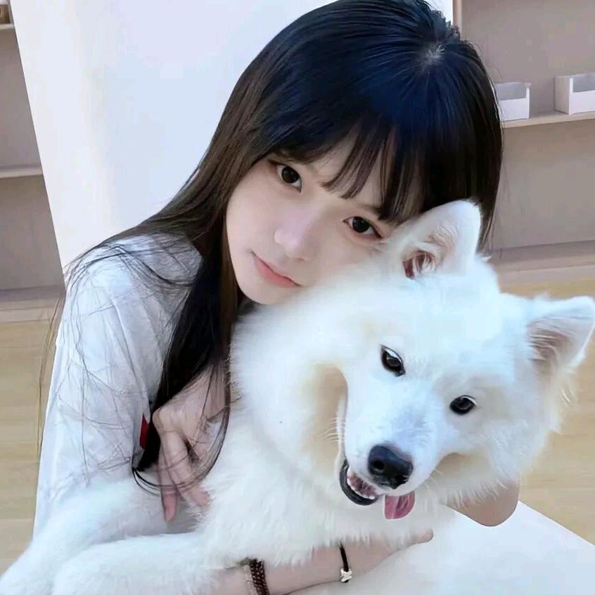 汤圆圆