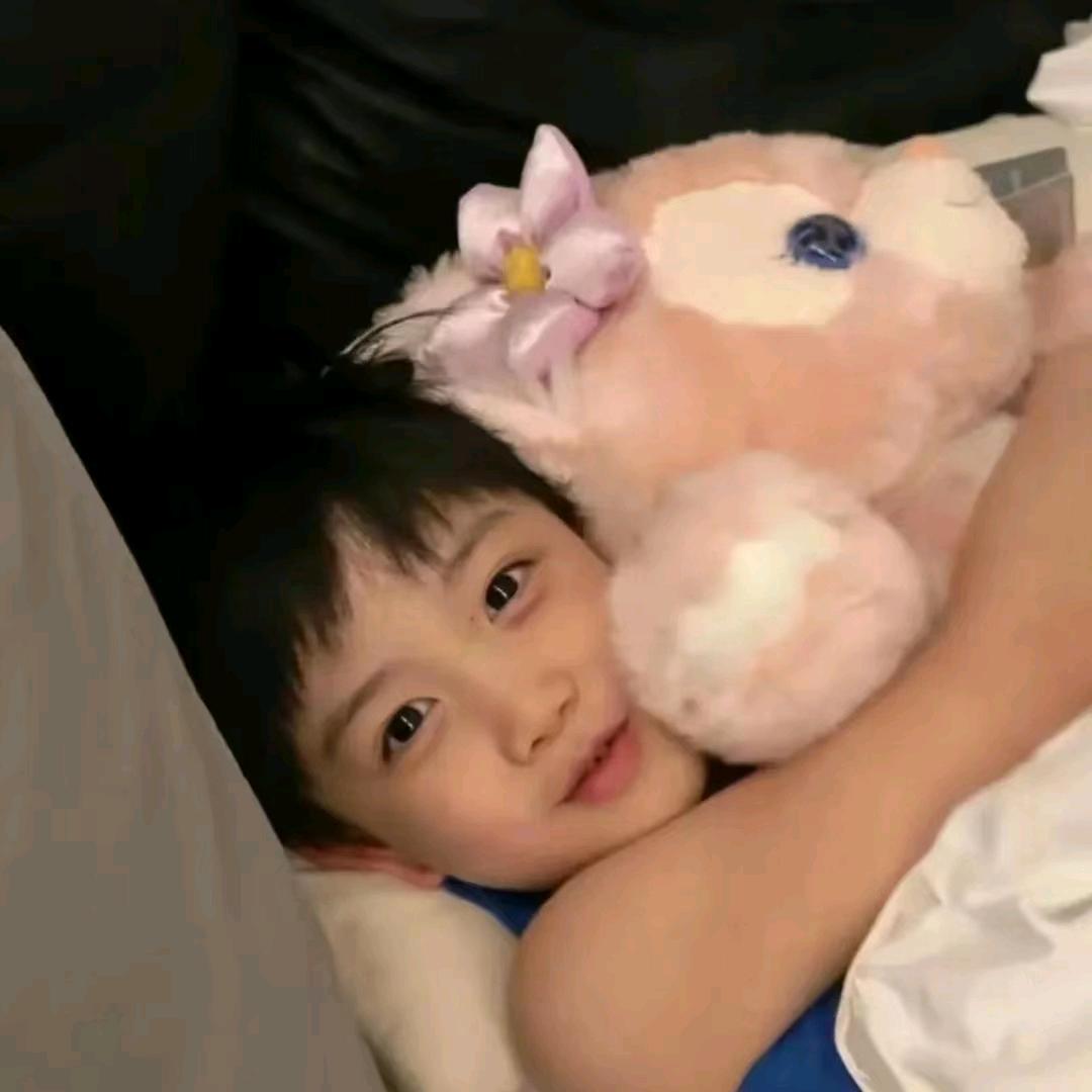 乌鸡卷-