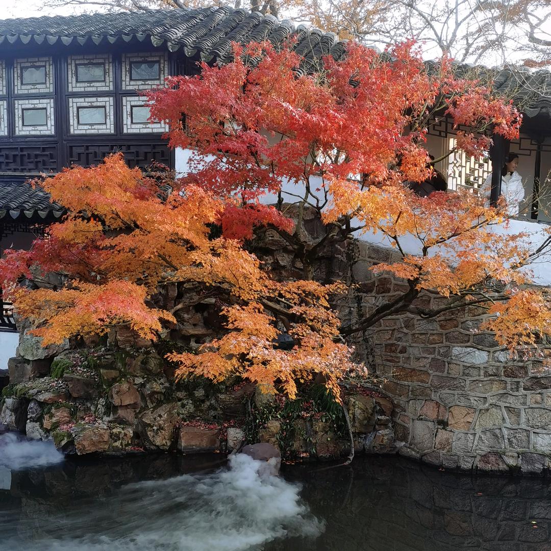 挽卿
