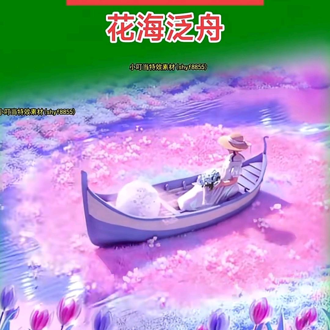 花海泛舟