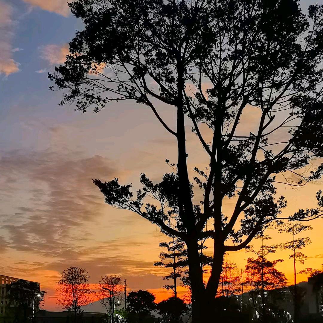 哇哈哈哈哈哈哈哈