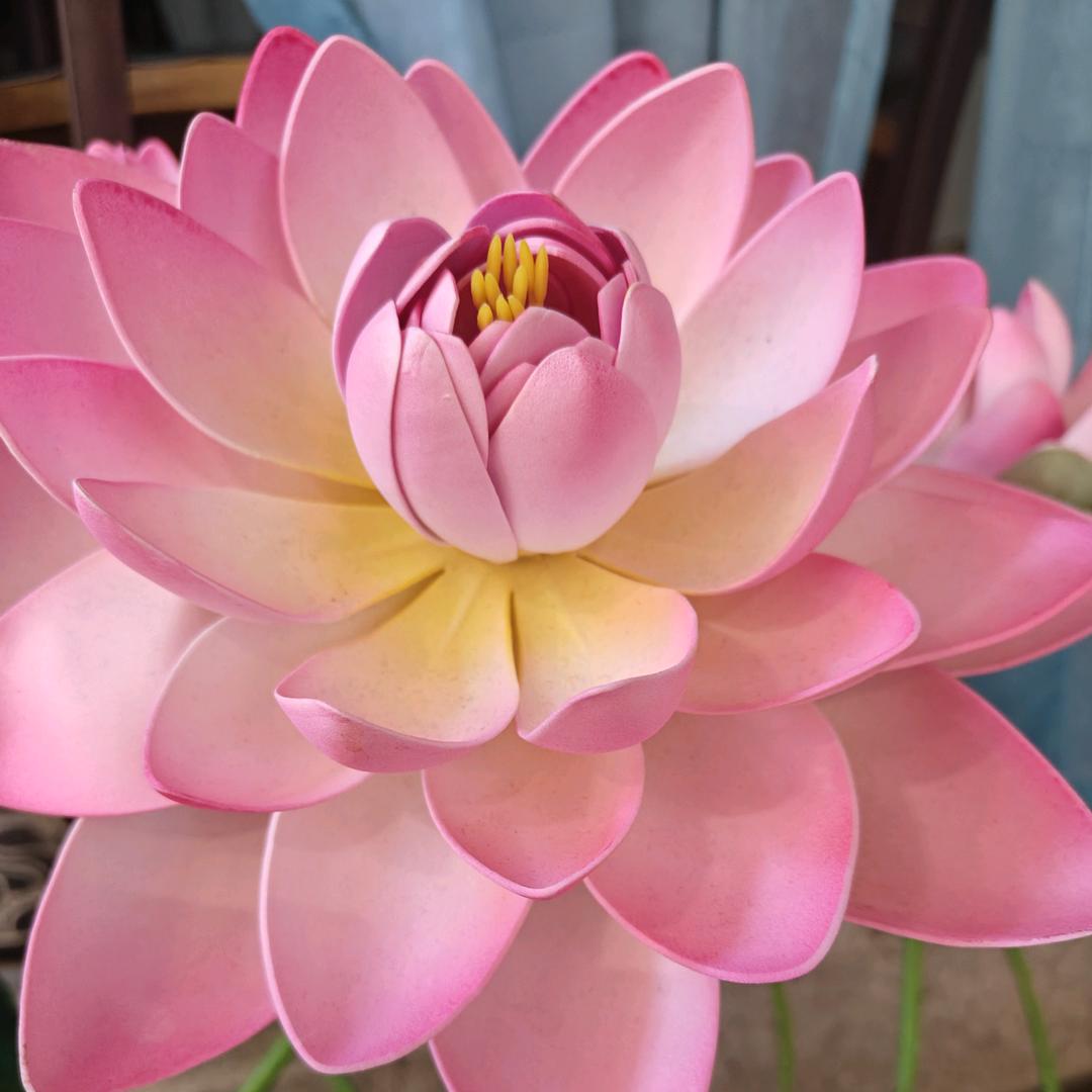 花开蝴蝶自然来。