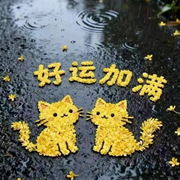 孙永光