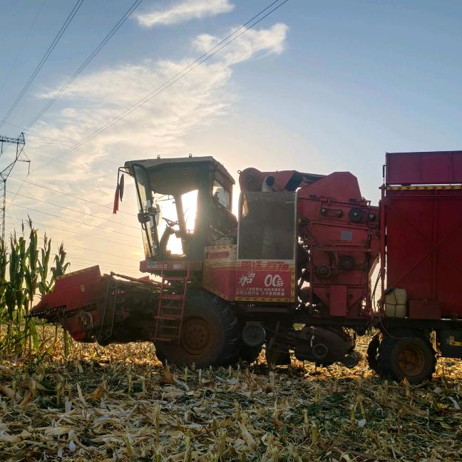 玩农机滴小涛🍃