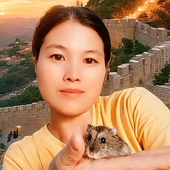 娟子呀