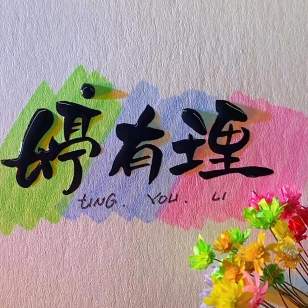 婷有理🐾