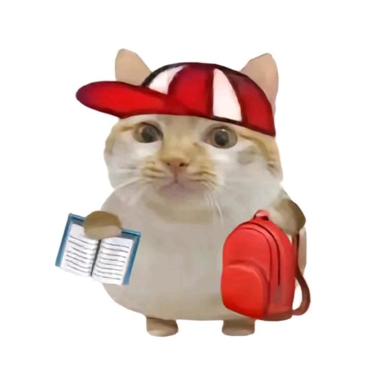 半棵青柠.