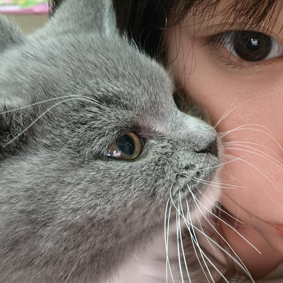 小羊讨厌乐乐茶