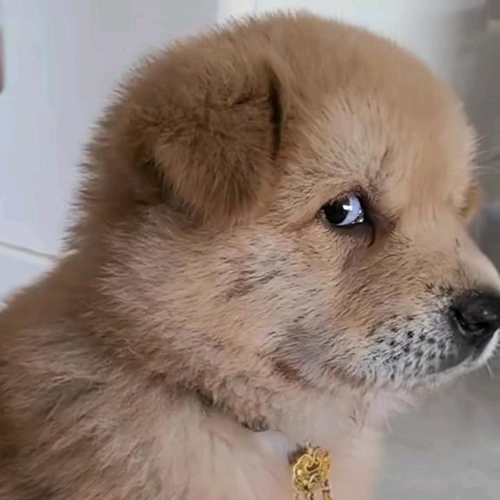 知名人∵