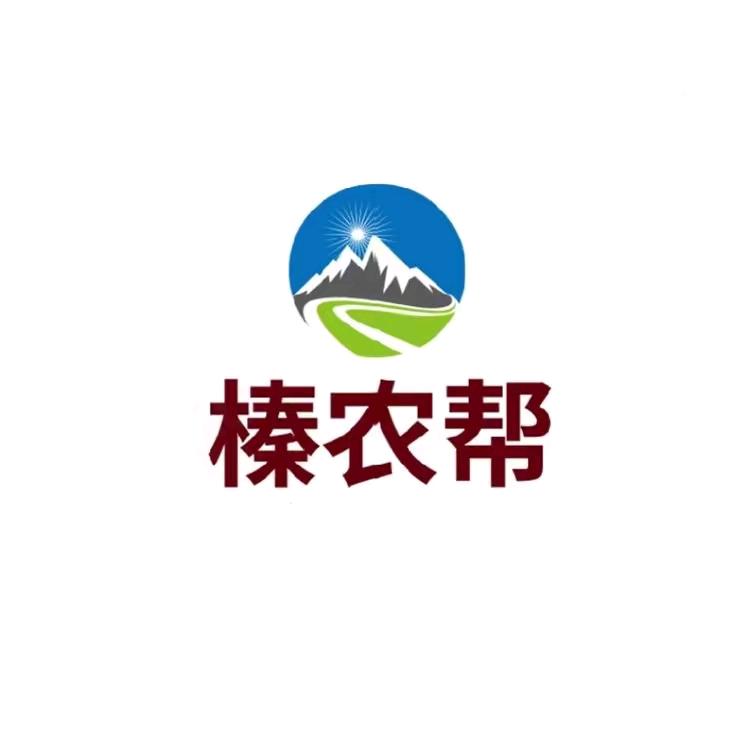 桓仁白云大榛子