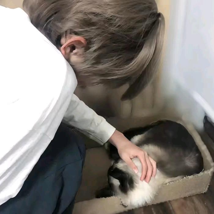 半眠日记
