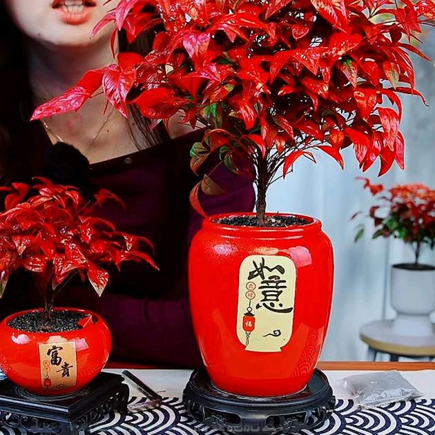 ¥财运暴张¥¥¥