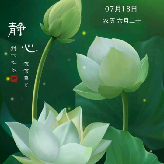 花花世界