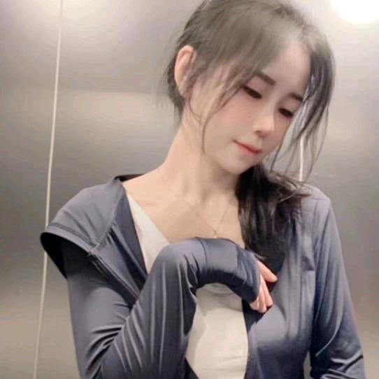 燕子11