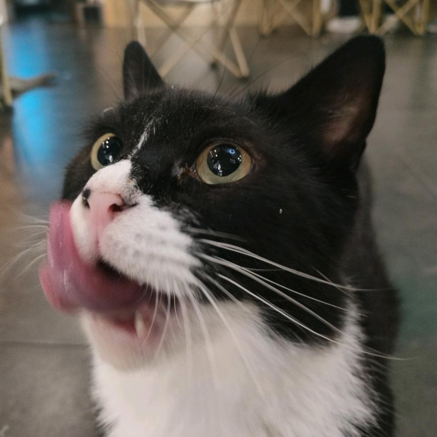 喏笙