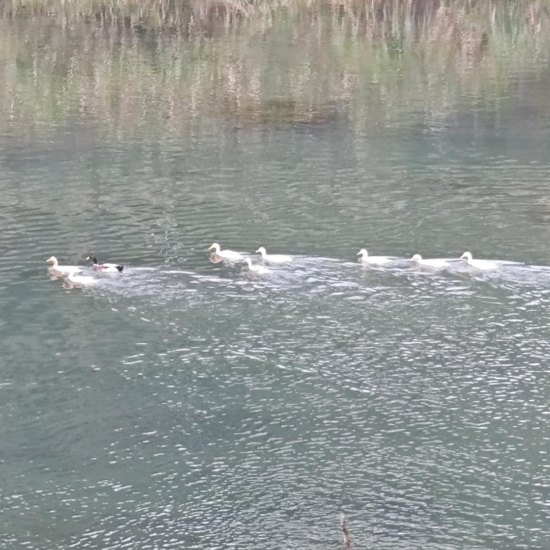 生活需要阳光