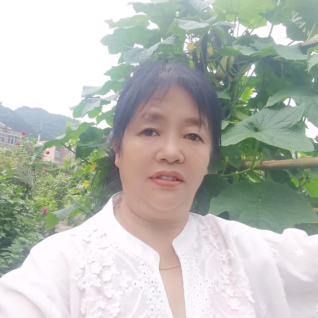 何二姐