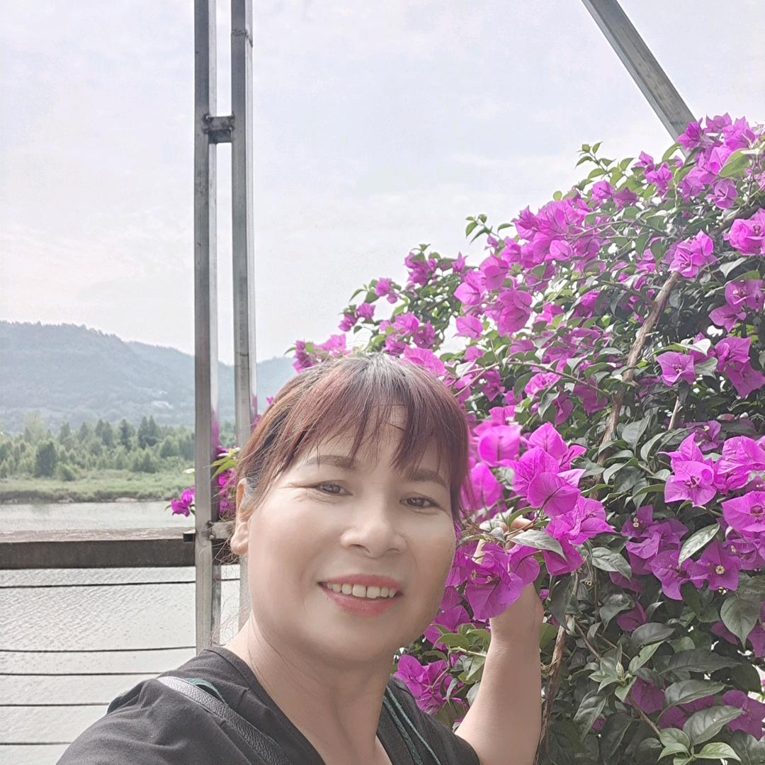 🌺芳华好岁月🌸