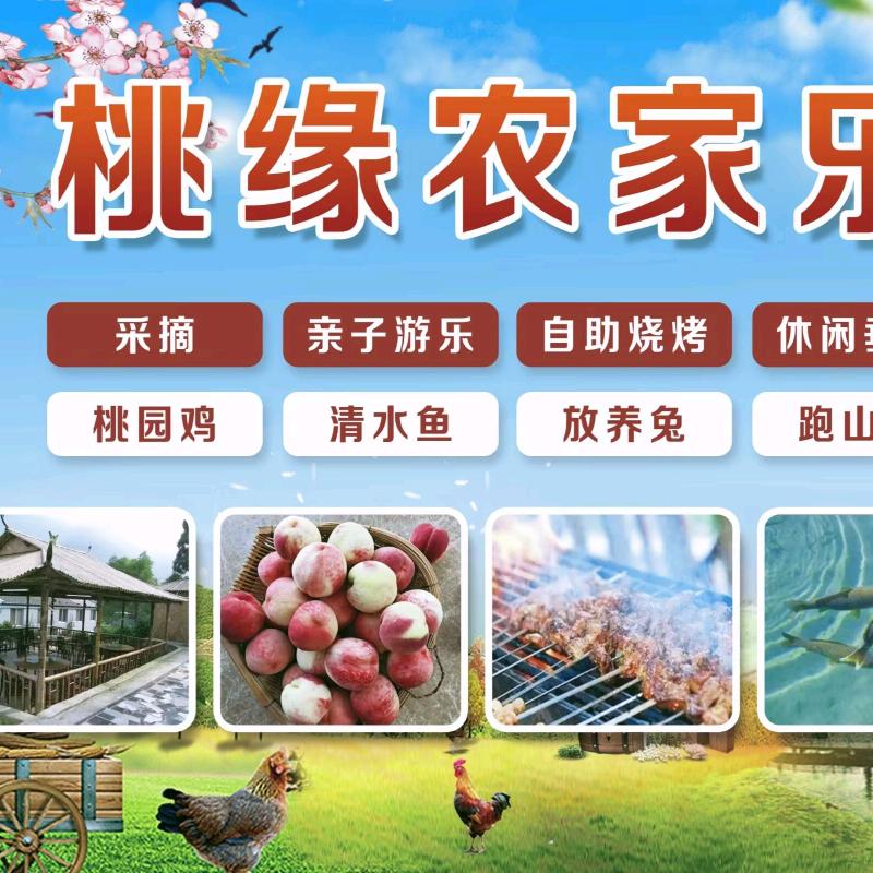 事外桃缘民宿农家院官方号