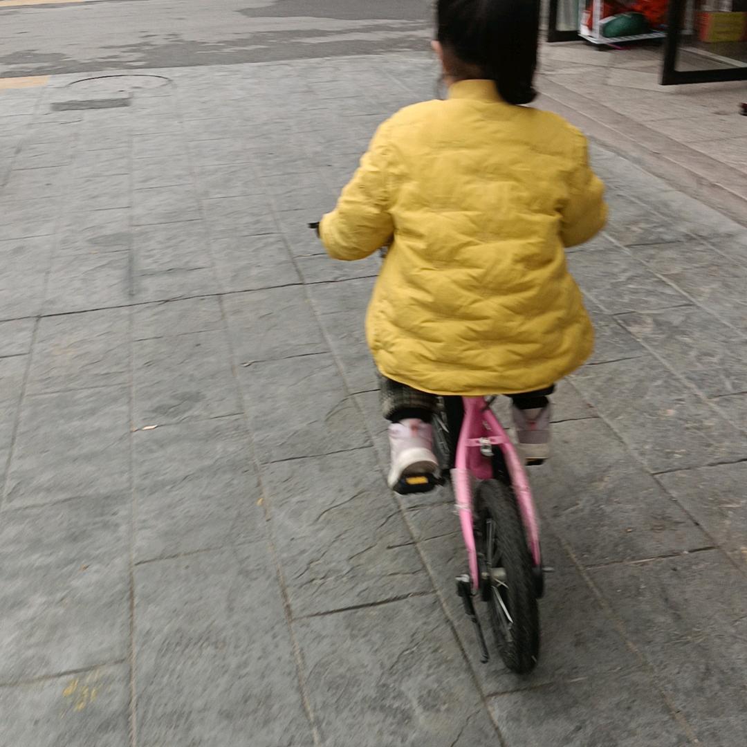 兰花