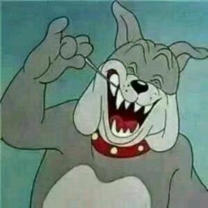 ʕ̯•͡˔•̯᷅ʔ℡