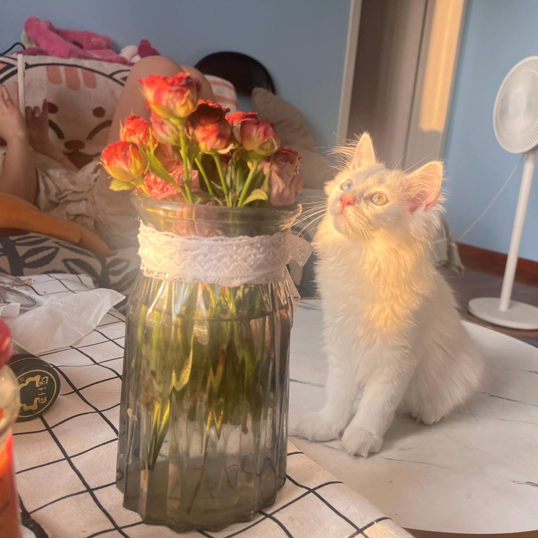 微微~～