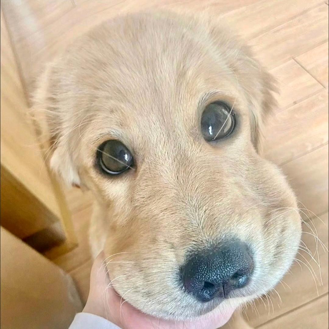 热血少年橙留香