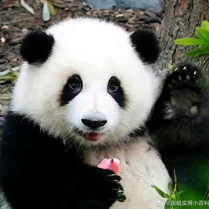 有猫有狗爱骑车爱钓鱼