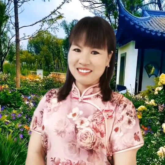 鑫鑫妈