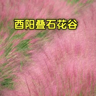 男神美景(酉阳桃花源)